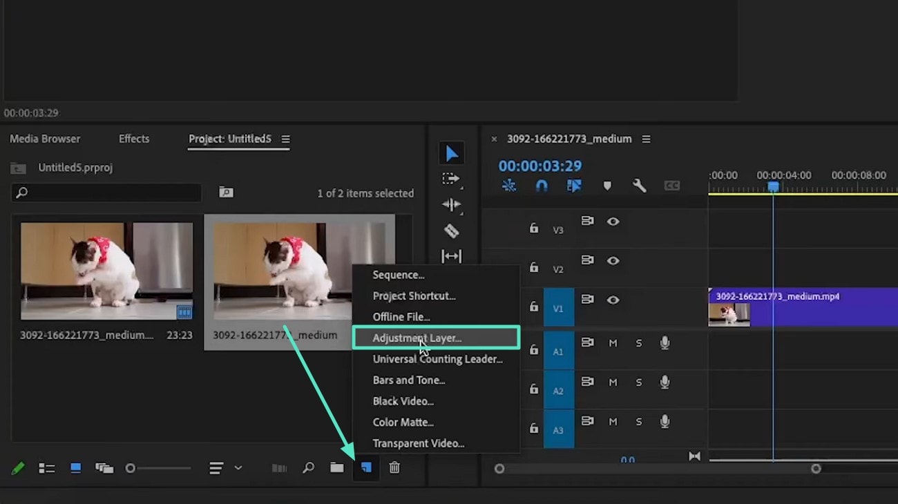 access adjustment layer option