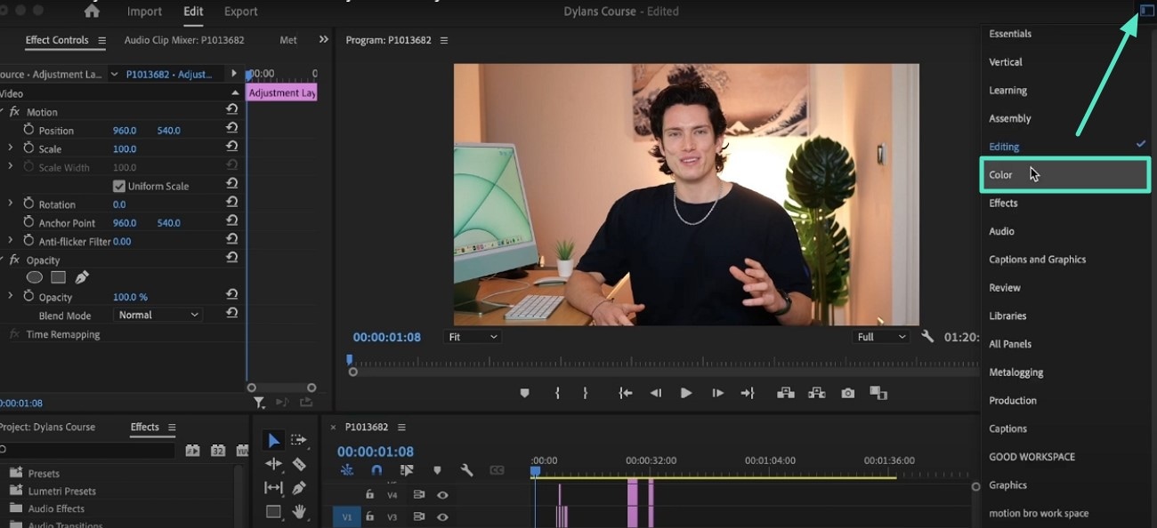 access color options on premiere pro