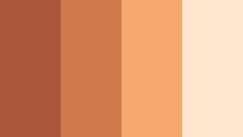 adobe courtyard chic canyon rust color palette with hex codes
