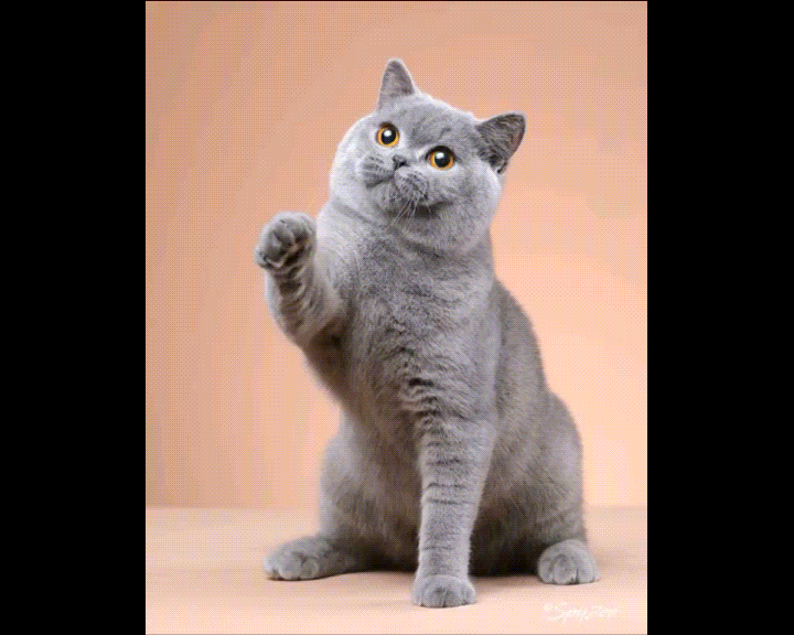 generate animal fusion