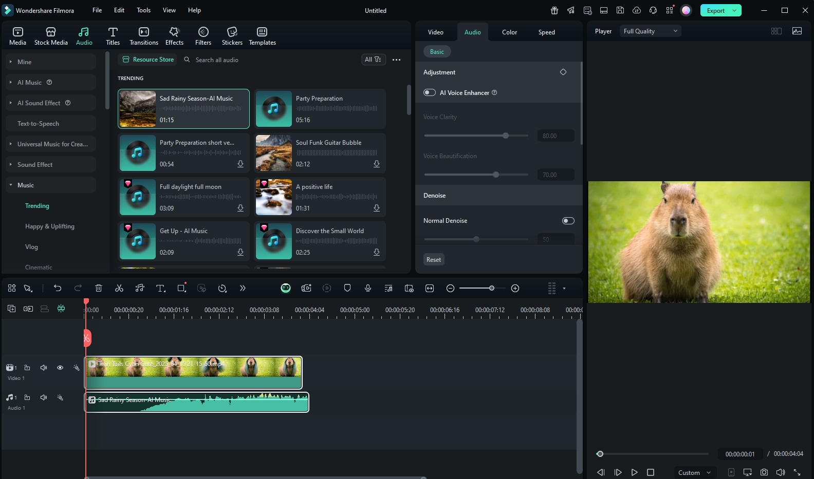 filmora audio window