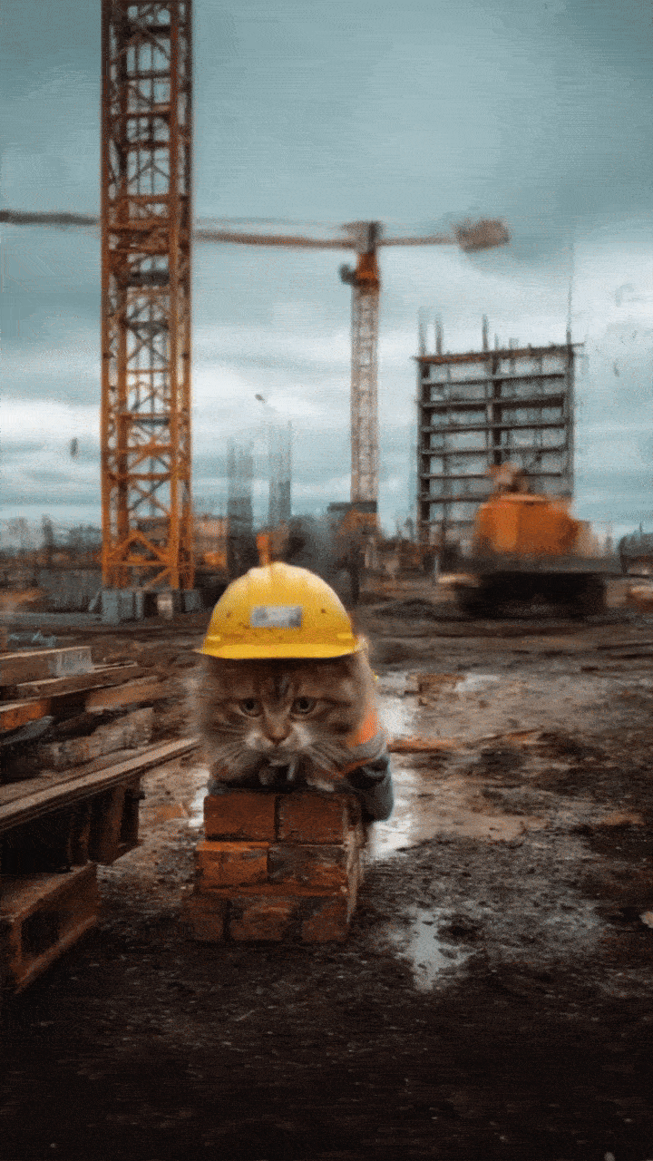 ai cat worker sample
