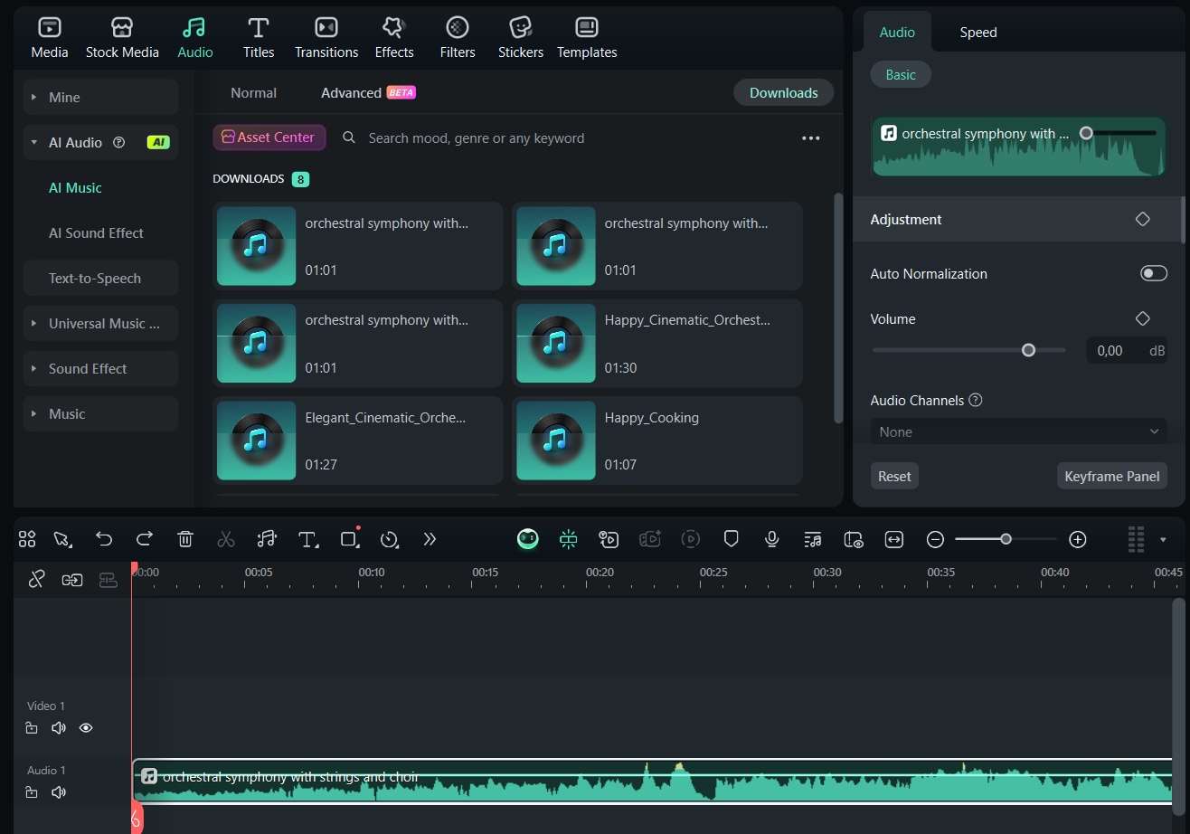 refine the audio if needed