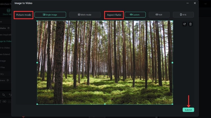 adjust the image mode and ratio