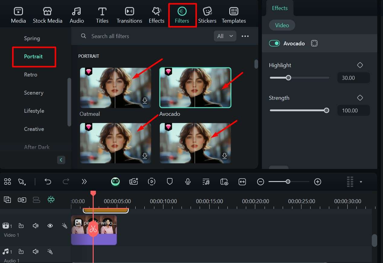 filmora adding portrait filters