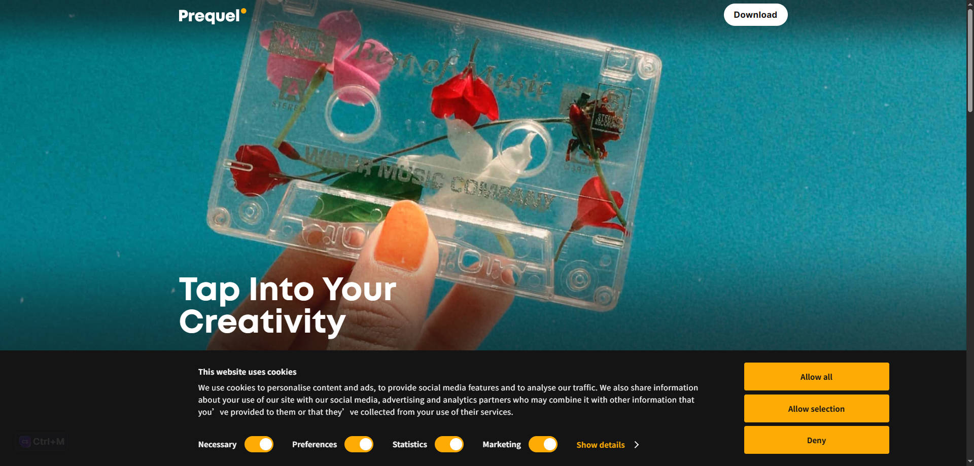 prequel app aesthetic vhs filters