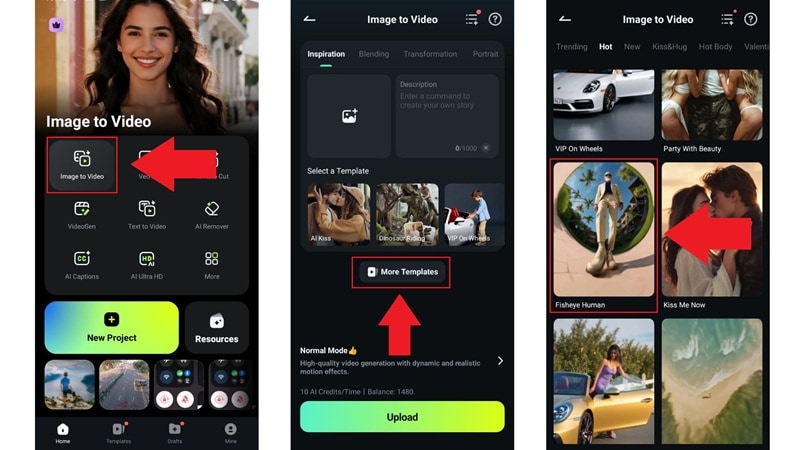 find the fisheye human template