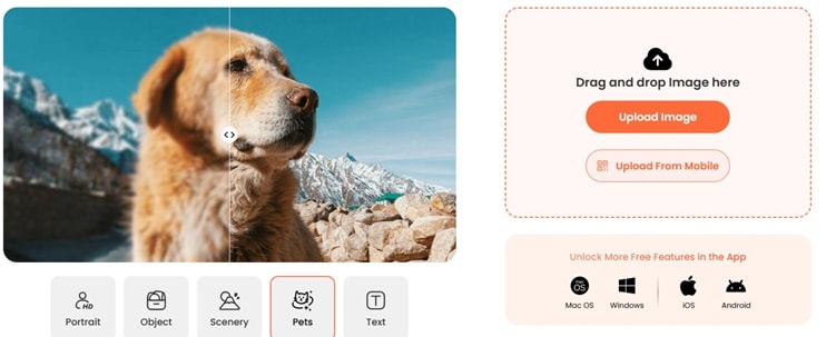 upload image to airbrush