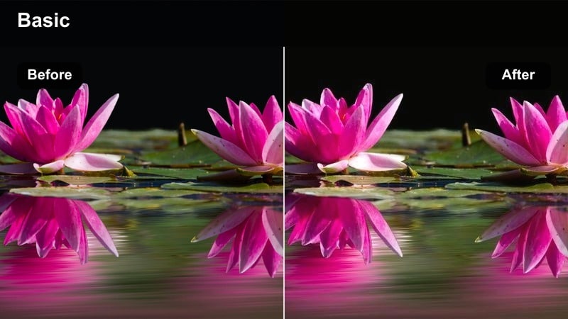 Influencer in indoor portrait with warm amber skin tone and glowing complexion.