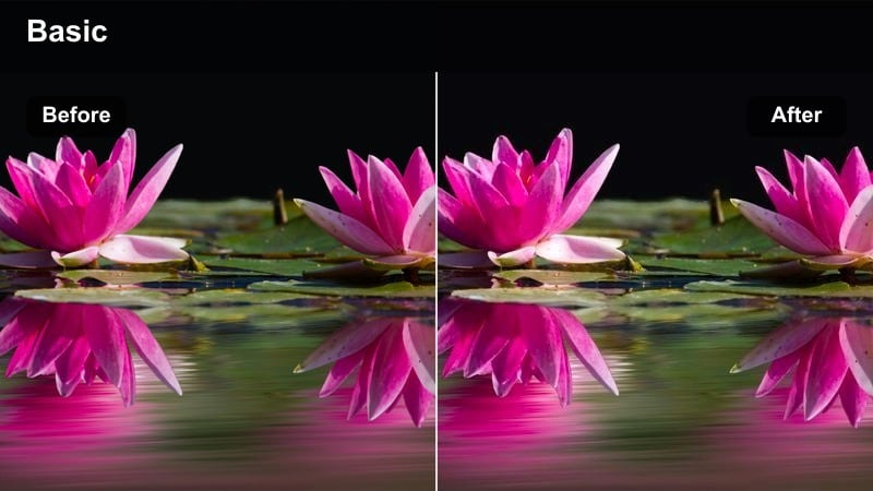Person journaling on a bed in a bedroom with golden sunlight hitting the wall