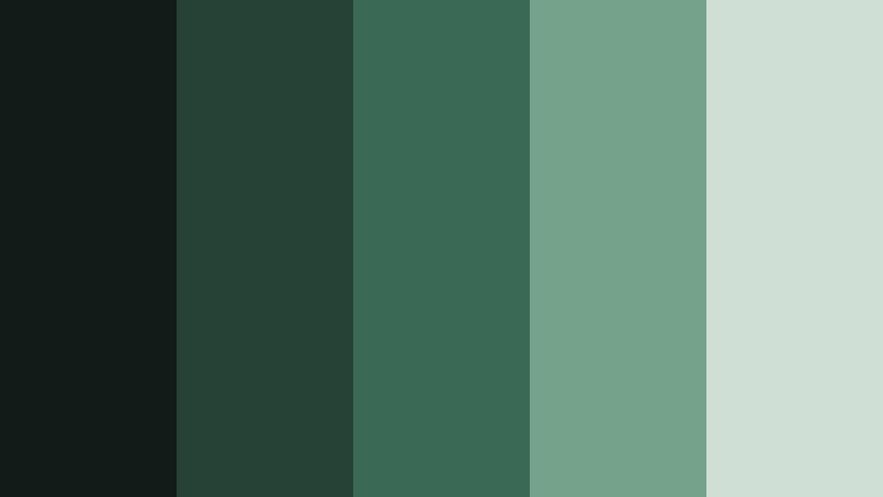 analog studio reel dark film green color palette with hex codes
