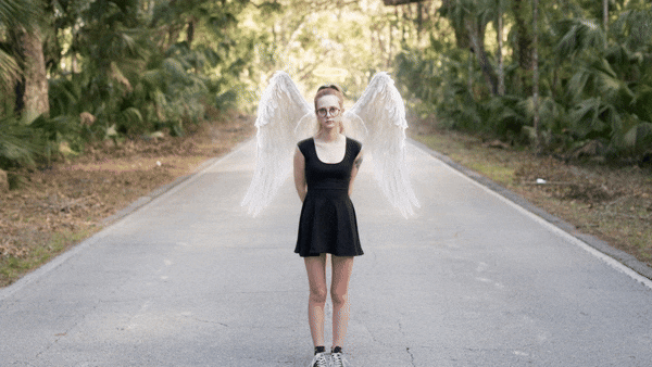 add wings to photo results