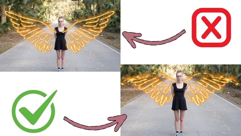 differences of wing size affect photos
