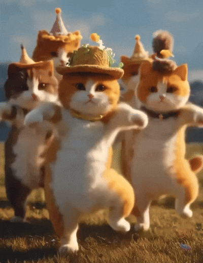 cat dancing