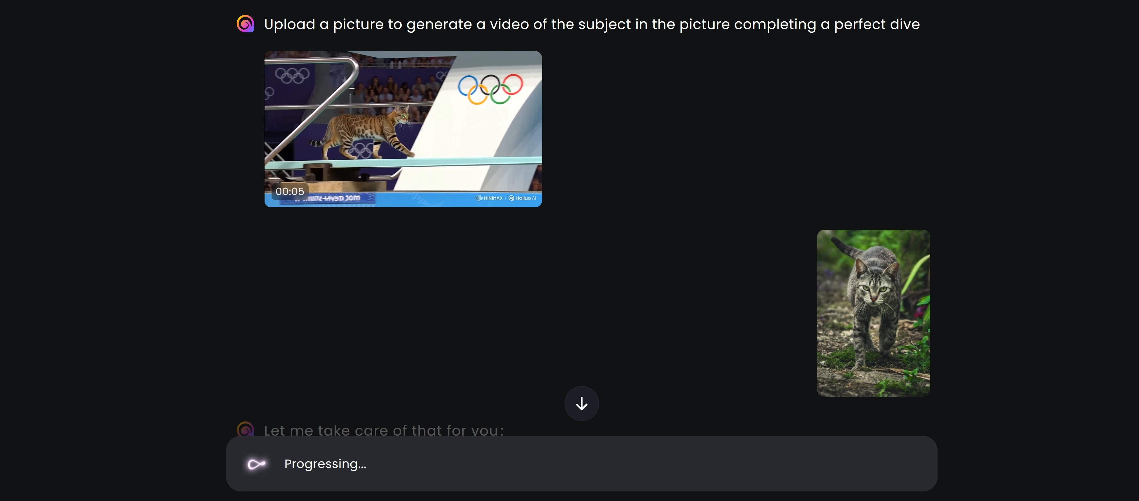 upload a pet image on hailuo