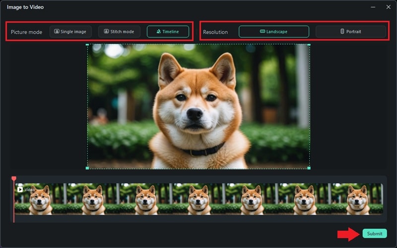 adjust the image and settings