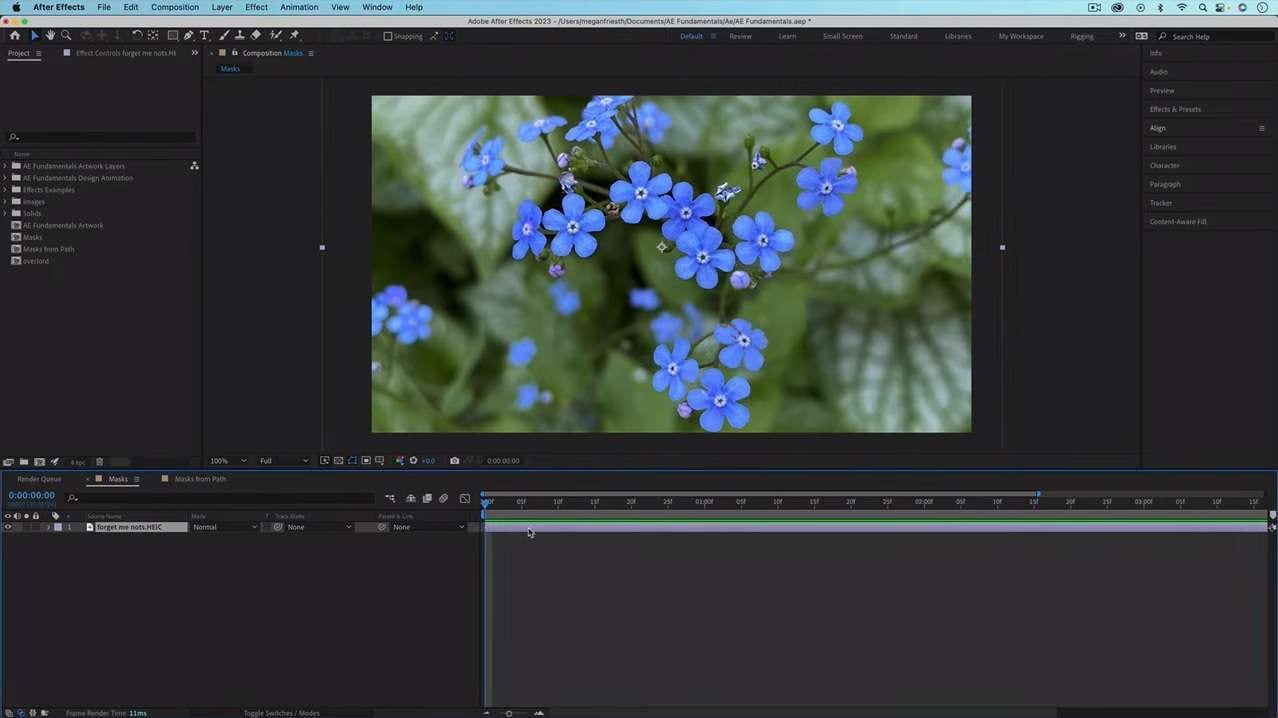 import image or clip to ae