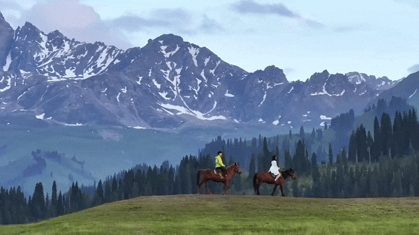 use animated text for travel videos