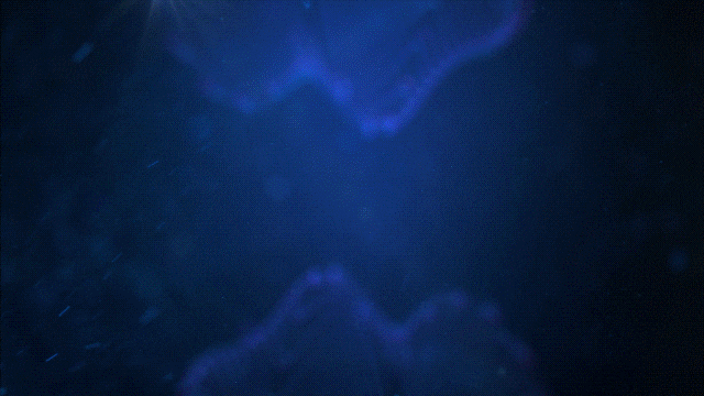 branding and logo reveals