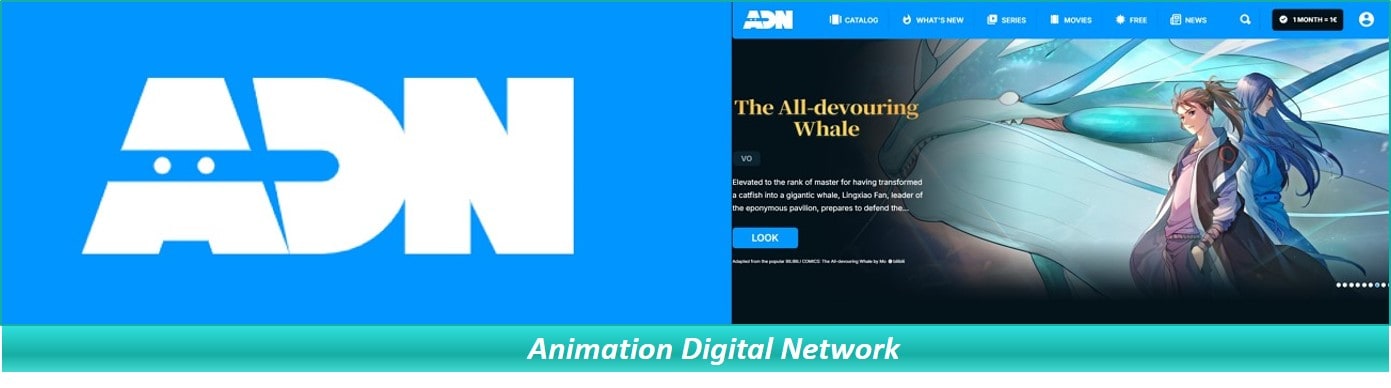 Animation Digital Network