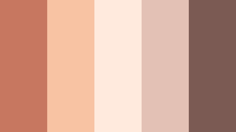 apricot veil muted terracotta color palette with hex codes