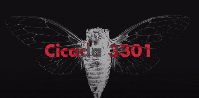 cicada 3301