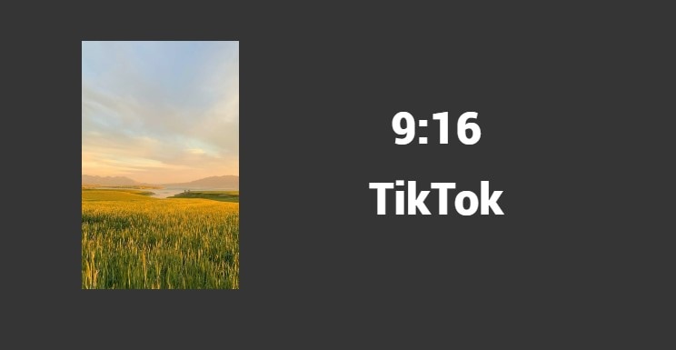 tiktok aspect ratios