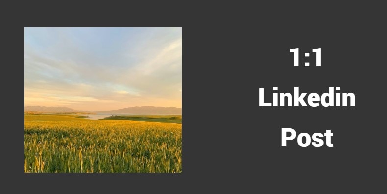 linkedin aspect ratios