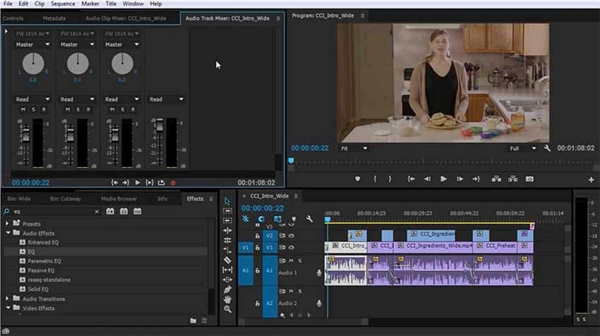 premiere pro audio effects interface