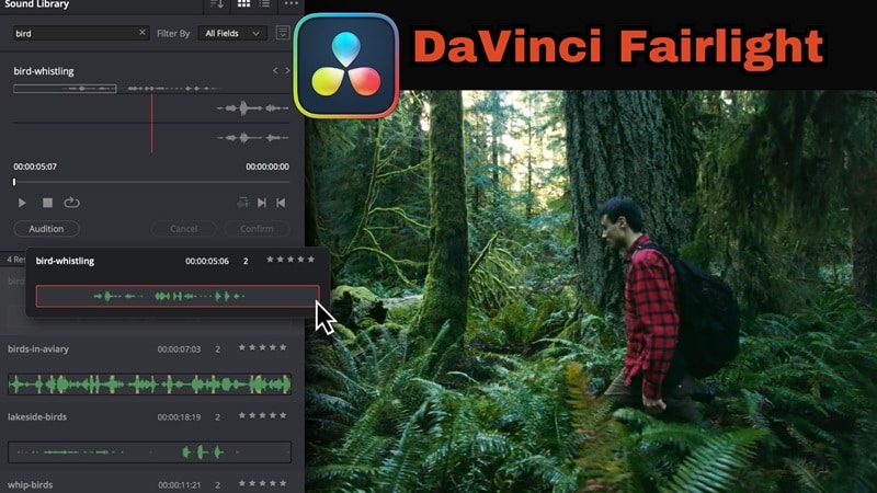 sound library in davinci fairlight