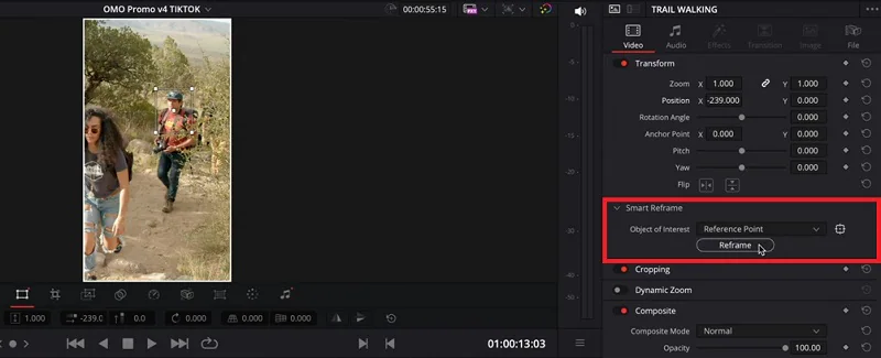 adjust reference point on davinci resolve