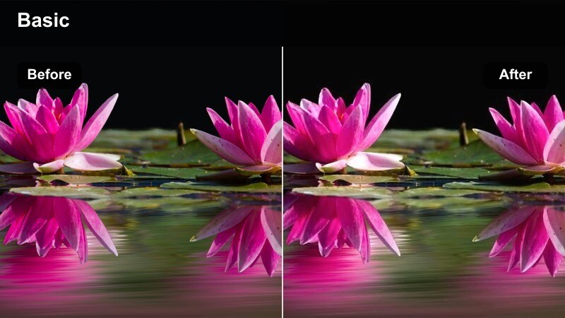 Person walking along a tree-lined path graded with warm hazelnut brown tones.