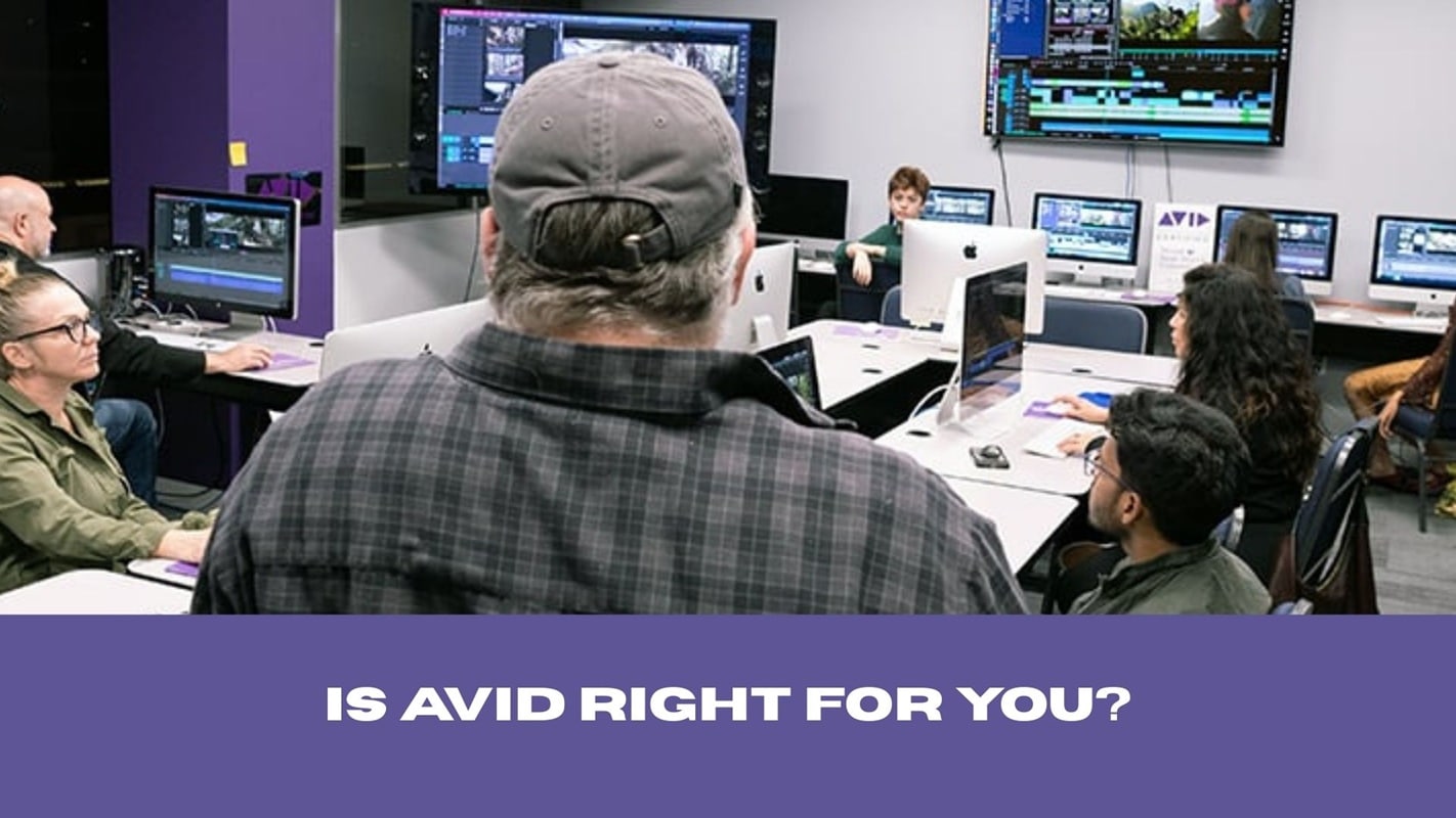 avid primary users and best use cases