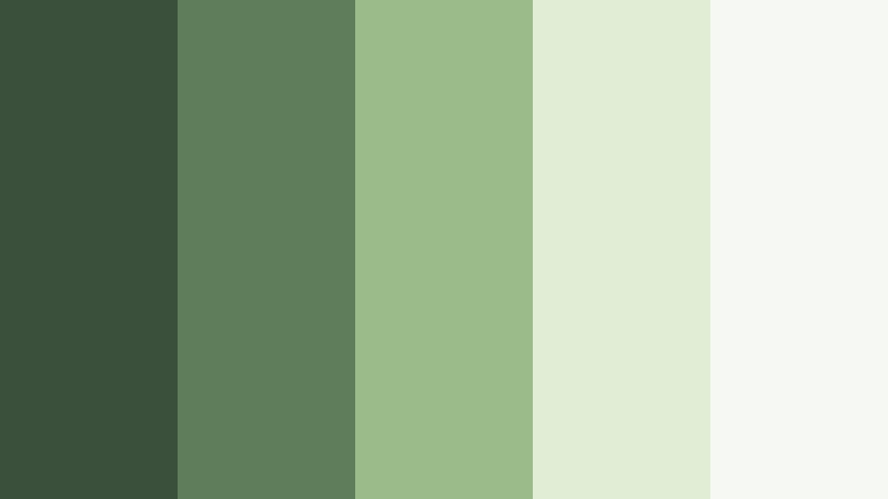 balcony jungle vlog forest moss color palette with hex codes