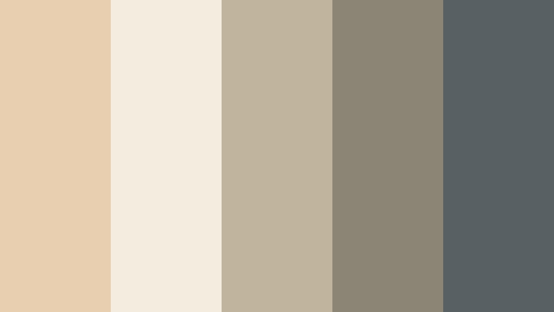 beach driftwood story pale almond color palette with hex codes