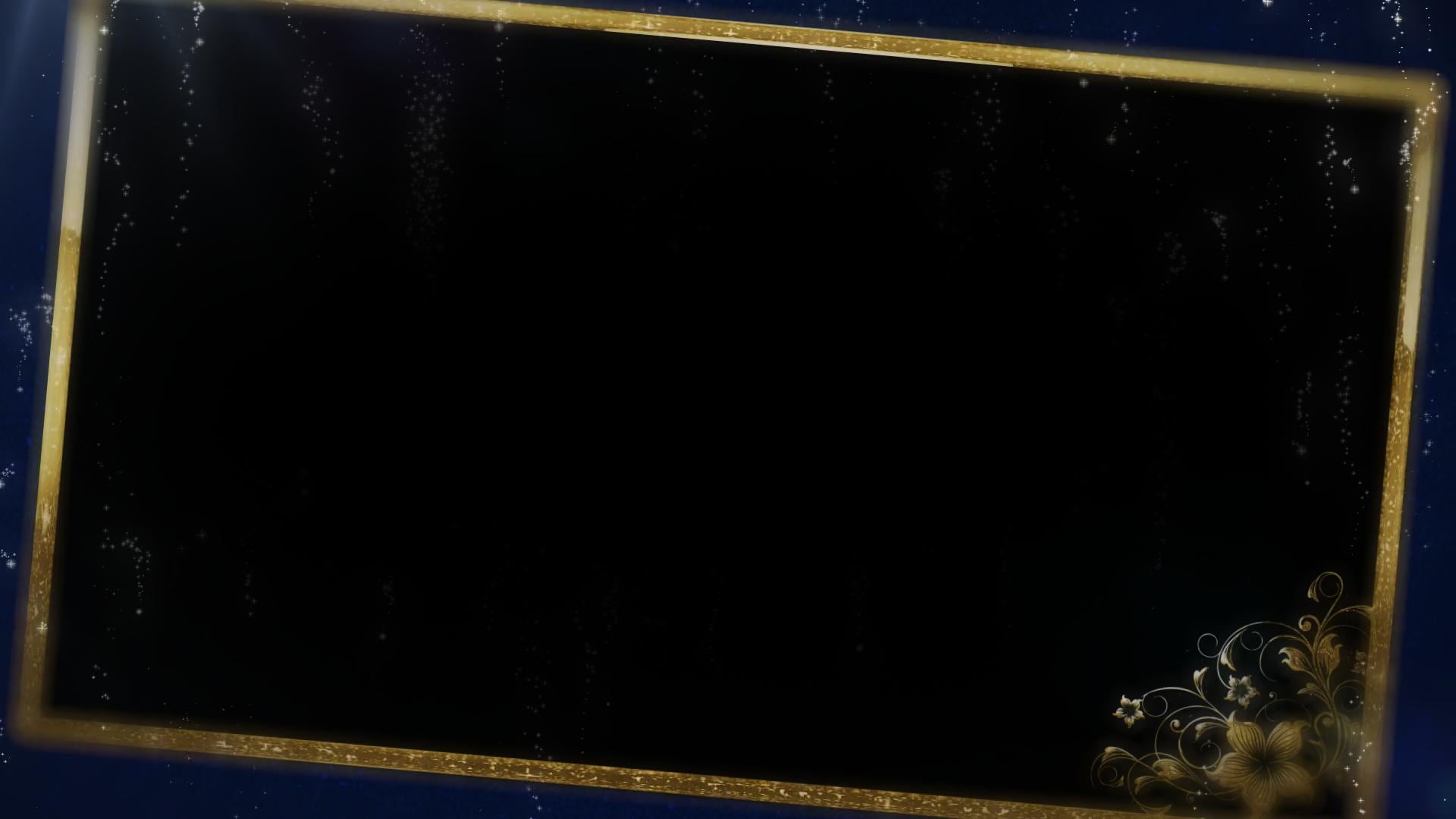 Beautiful Wedding Overlay