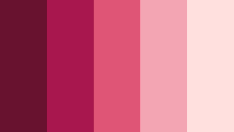 berry flash statement burgundy and blush jewelry store color color palette with hex codes