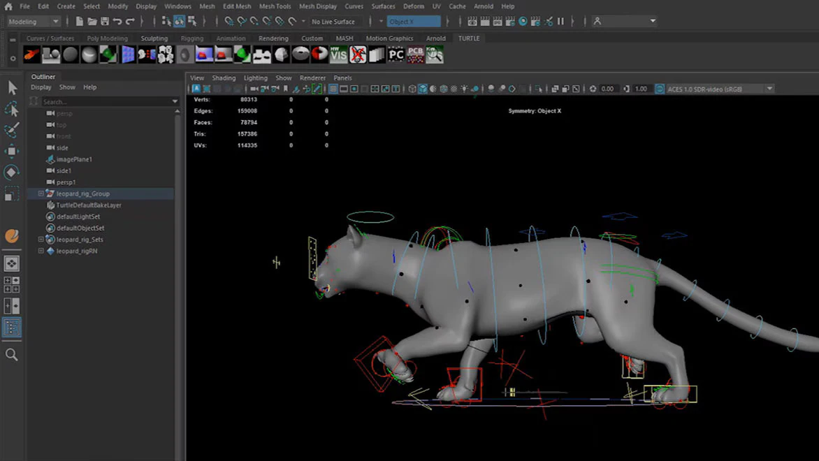 autodesk maya professional animation software