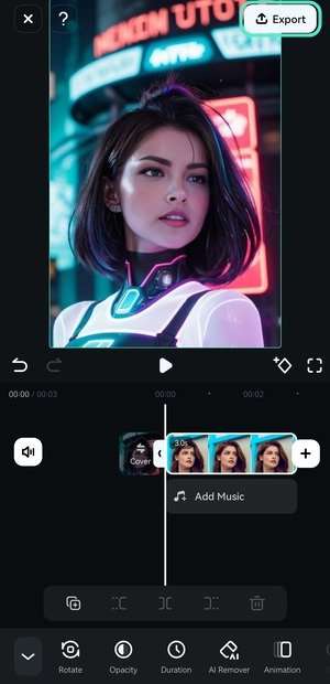 export your stylized photo