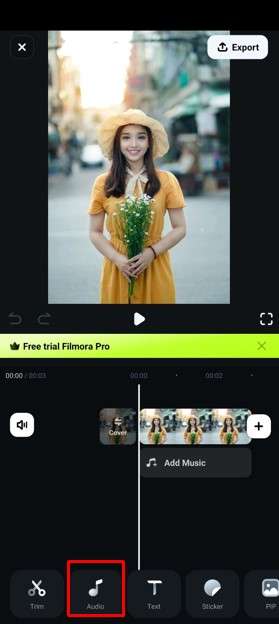 select audio option
