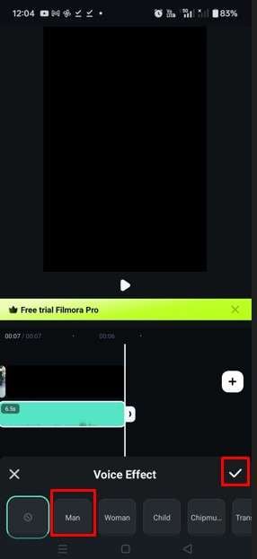 add voice effect