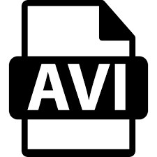 AVI is an older but still available format in premiere pro.