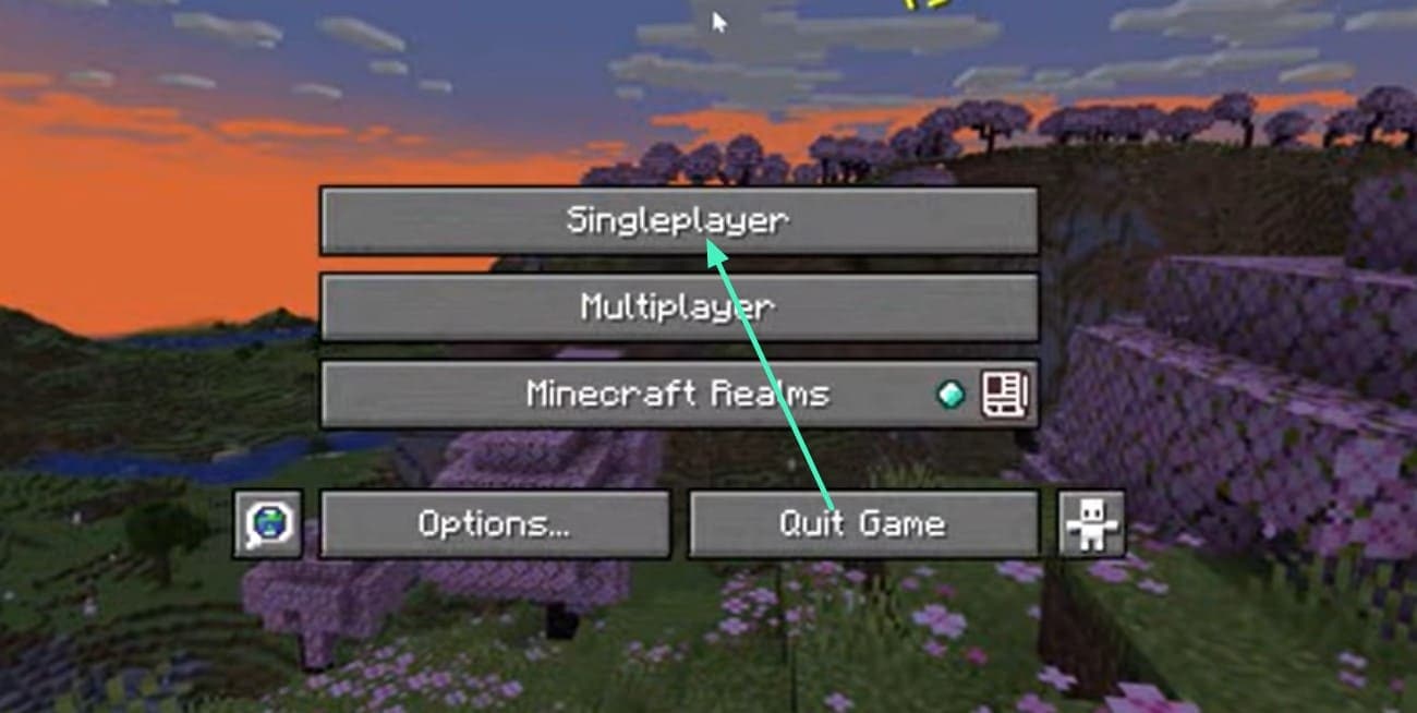 select singleplayer for java edition