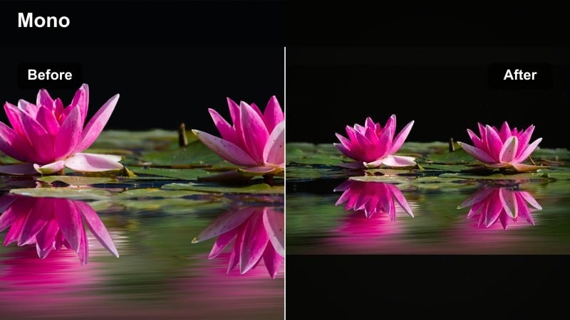 High-contrast black and white cinematic filter on a YouTube monologue