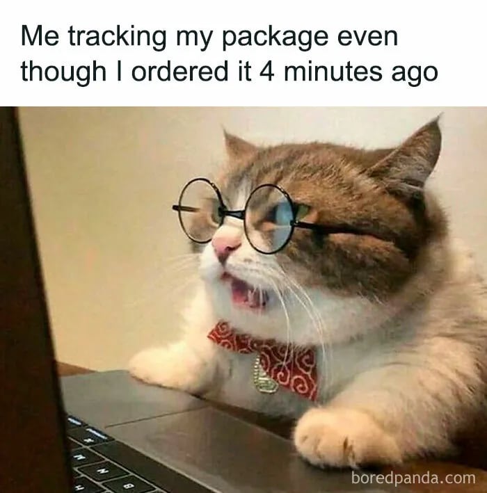 cat package black friday meme