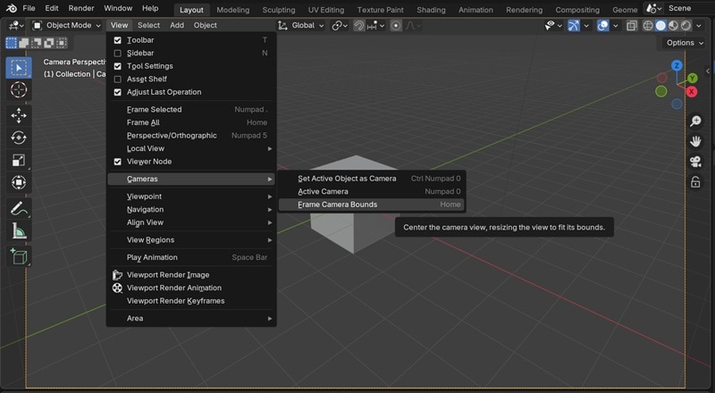 select frame camera bounds