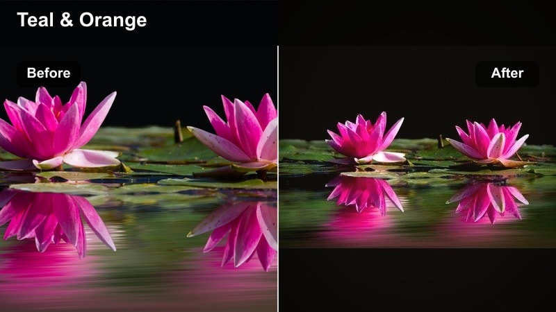 Travel vlogger with teal shadows and warm skin tones in a cityscape