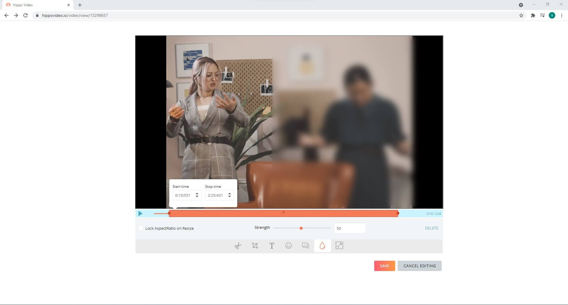 Blur videos online with hippovideo