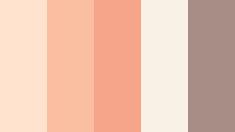 blush apricot morning soft apricot color palette with hex codes