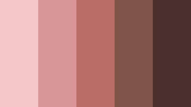 blush cocoa embrace pink and brown skincare brand color color palette with hex codes